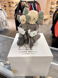 KAWS Holiday Brown