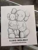 KAWS Holiday Brown