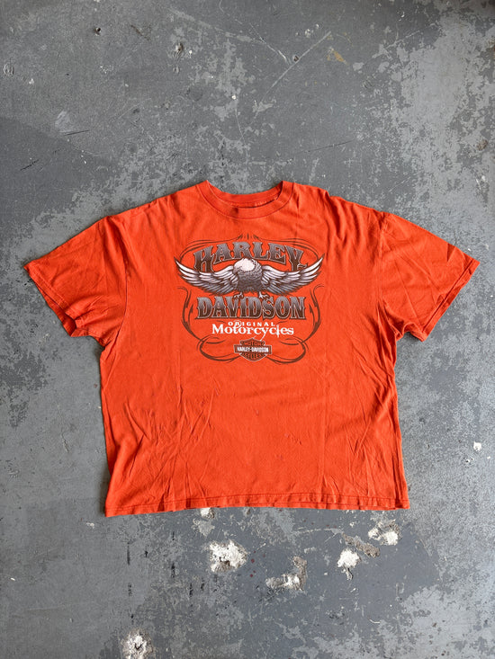 Y2K Harley Davidson Adventure Dover tee - Sz XL