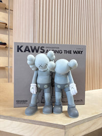 KAWS Along the way grey