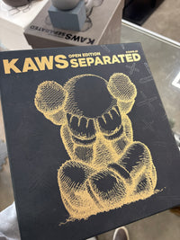 KAWS Seperated black