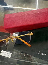 Cartier Bolon CT00450 glasses