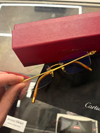Cartier Bolon CT00450 glasses